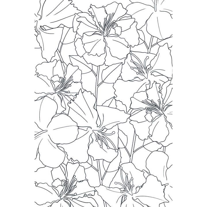 Aimfully Books - Wholesale Coloring & Activity Book - Adult - A Blooming Earth2