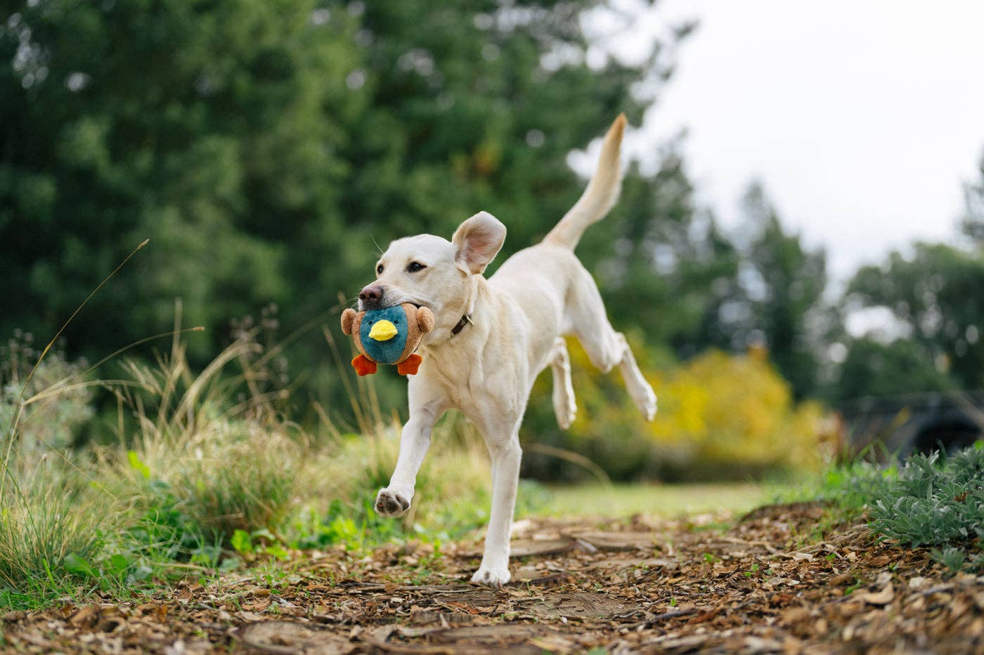P.L.A.Y. Pet Lifestyle and You - Wholesale Pet Plush Toy - Dog - Barnyard Buddies Dana the Duck3
