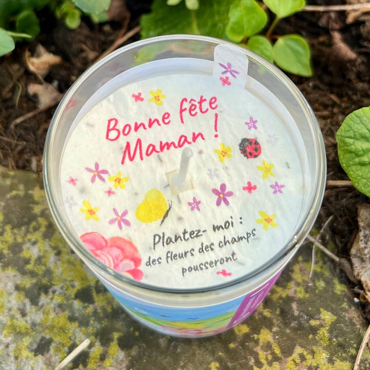 Velas para plantar feliz dia da mãe - fragrâncias de flores por atacado de Les cartes de Lulu