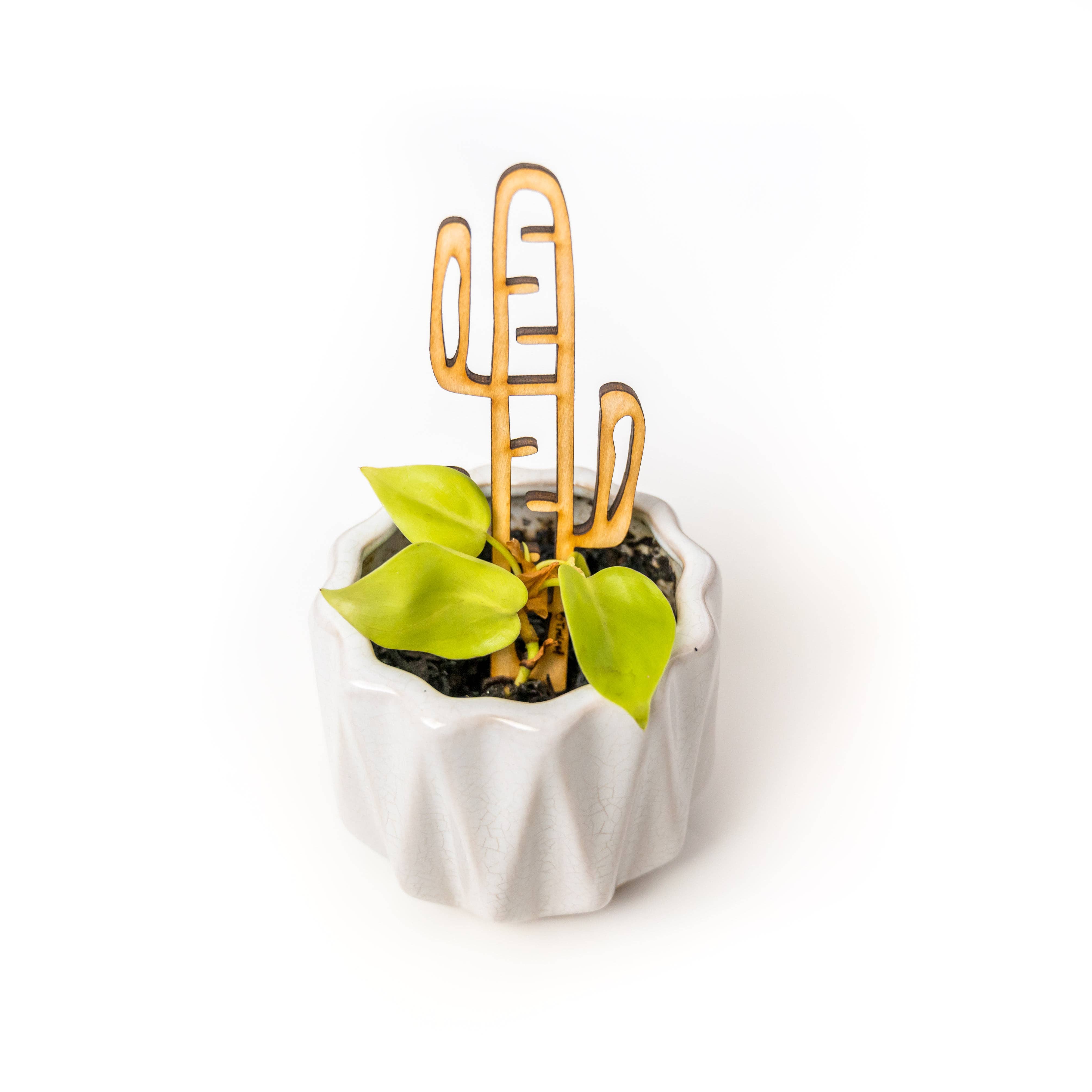 Treleaf – wholesale Garden/lawn stake – BARE Mini Trellises - Decorative wooden plant stakes6