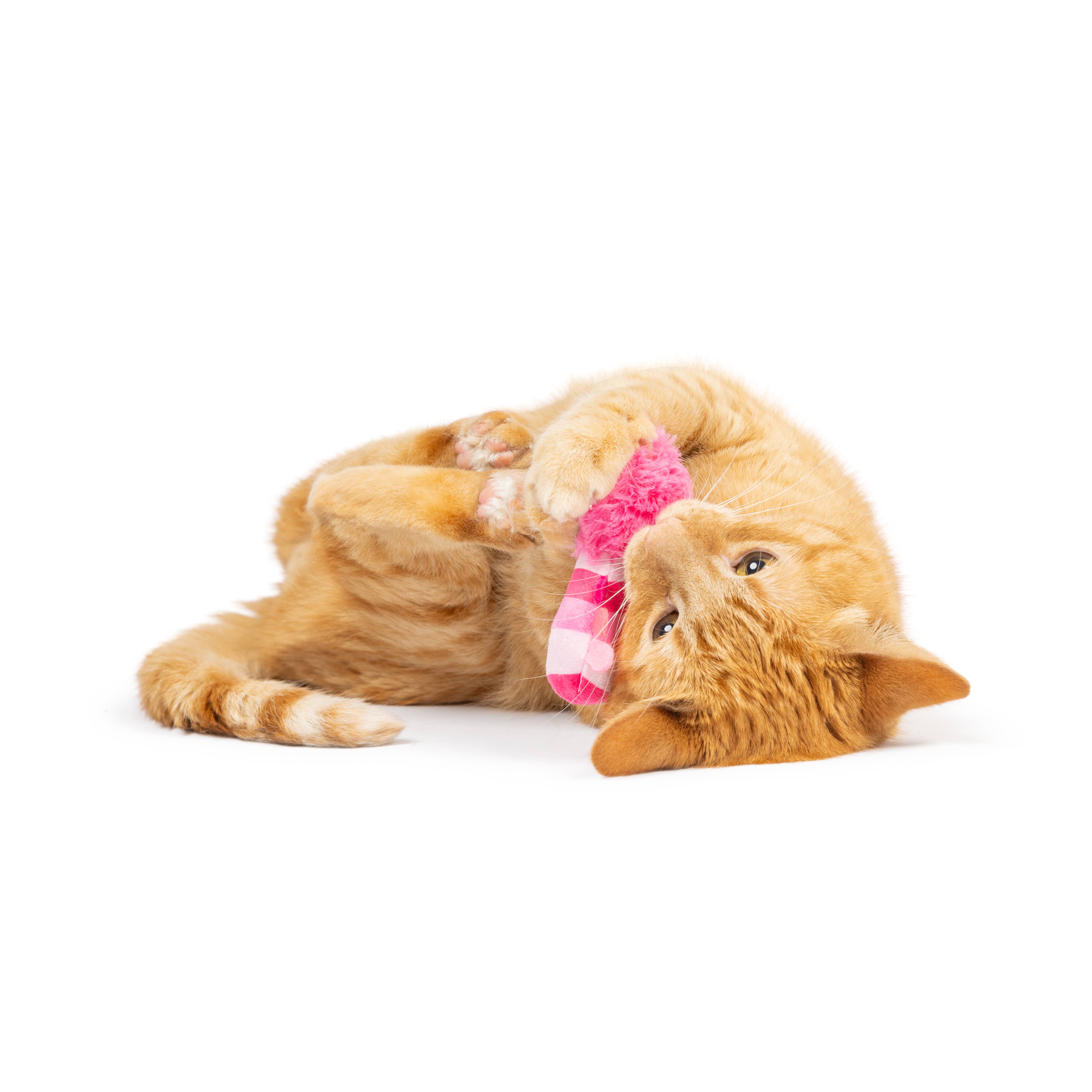 Huxley & Kent - Vente Jouet – chat - Lot de 2 jouets Love Bugs pour chat6