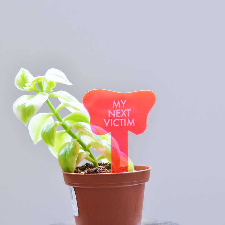 Tuff Girl Gang - Wholesale Plant Pot - MY NEXT VICTIM Plant Stake