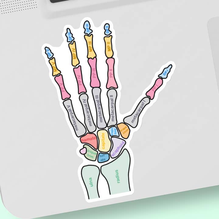3.5" Hand Bones | Vinyl Sticker for wholesale by Art with Saenz