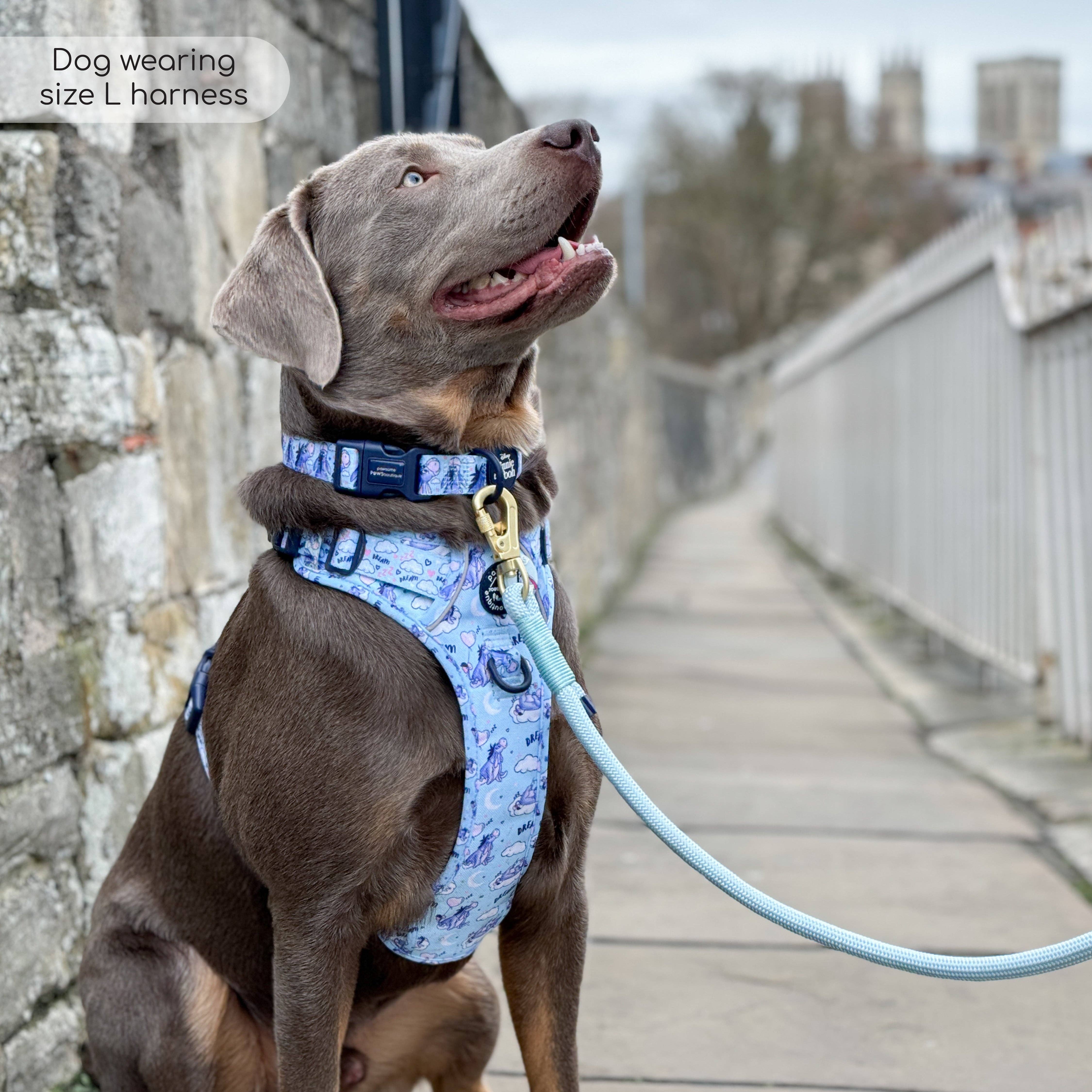 Pawsome Paws - Vendita all'ingrosso Pettorina - Cani - Disney© Tough Trails™ Pettorina - Ih-Oh22