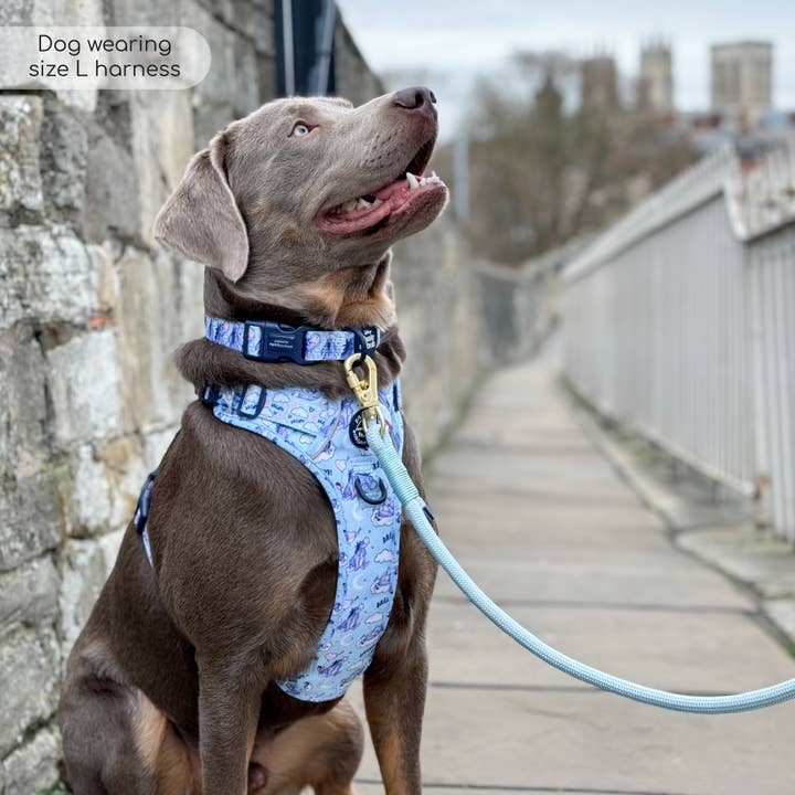 Pawsome Paws - Vendita all'ingrosso Pettorina - Cani - Disney© Tough Trails™ Pettorina - Ih-Oh22