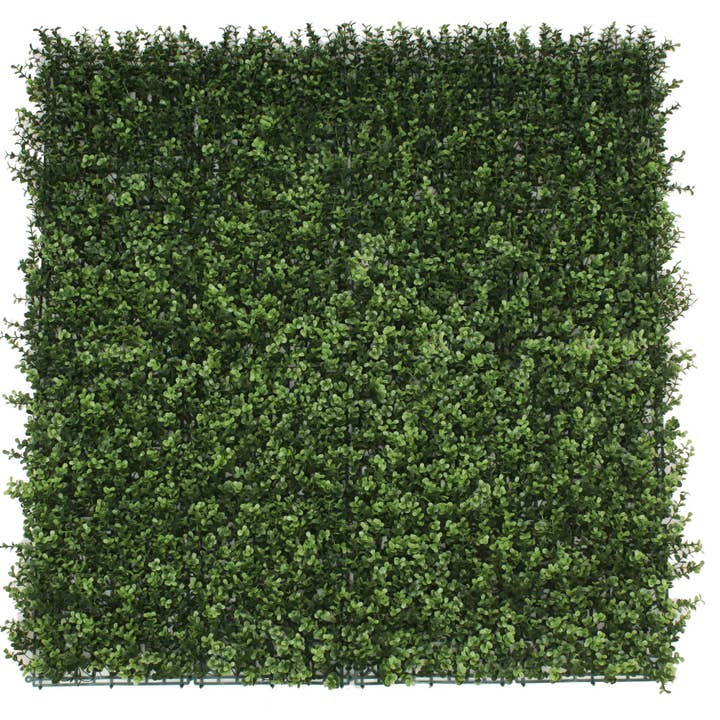 Sample Panel of Natural Artificial Boxwood Wall (Small Sample) Commercial Grade UV Resistant for wholesale by Designer Plants