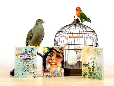 Potluck Press – Großhandel Hochzeitskarte – Eine Hochzeitstoast-Grußkarte2