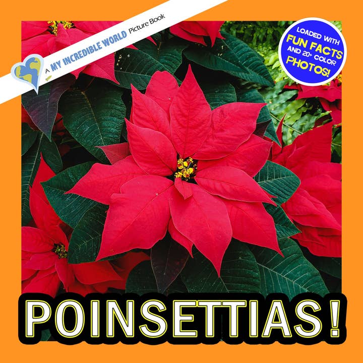 Poinsettias! A My Incredible World Picture Book for Children for wholesale by My Incredible World