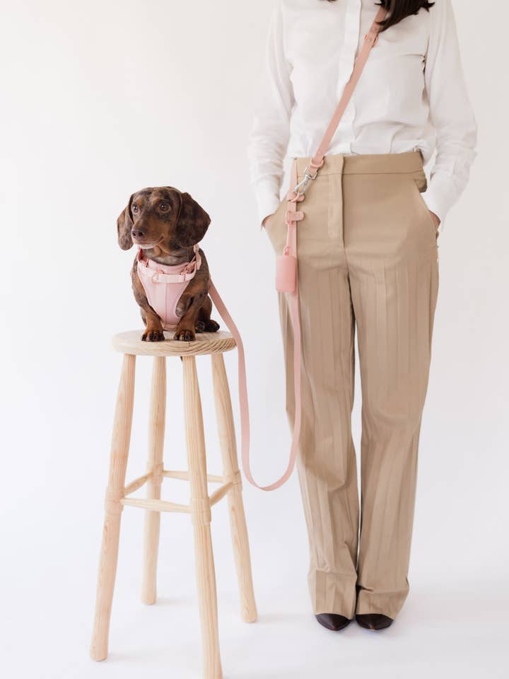 Conjunto de Caminhada por atacado de PRILTON