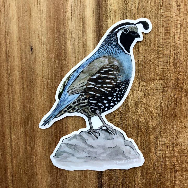 YubaCat Designs - Wholesale Sticker - California Quail sticker0
