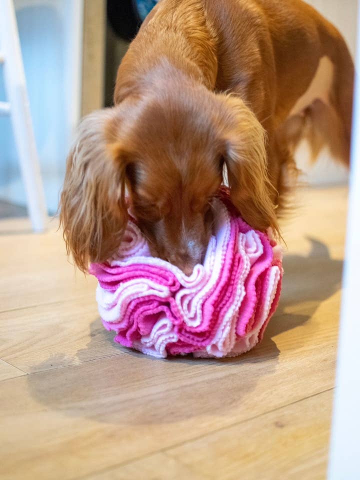 Bodhi & The Birchtree Large Pink Snuffle Ball for wholesale by Bodhi & The Birchtree