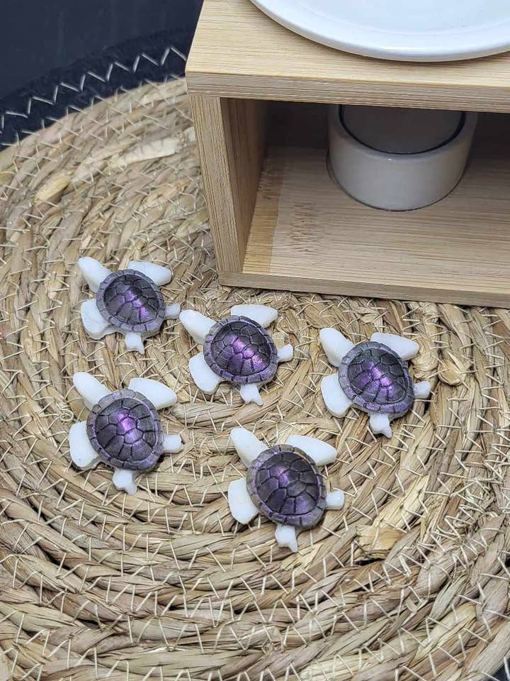 COCOONING turtle for wholesale by Irrésistible Bougie