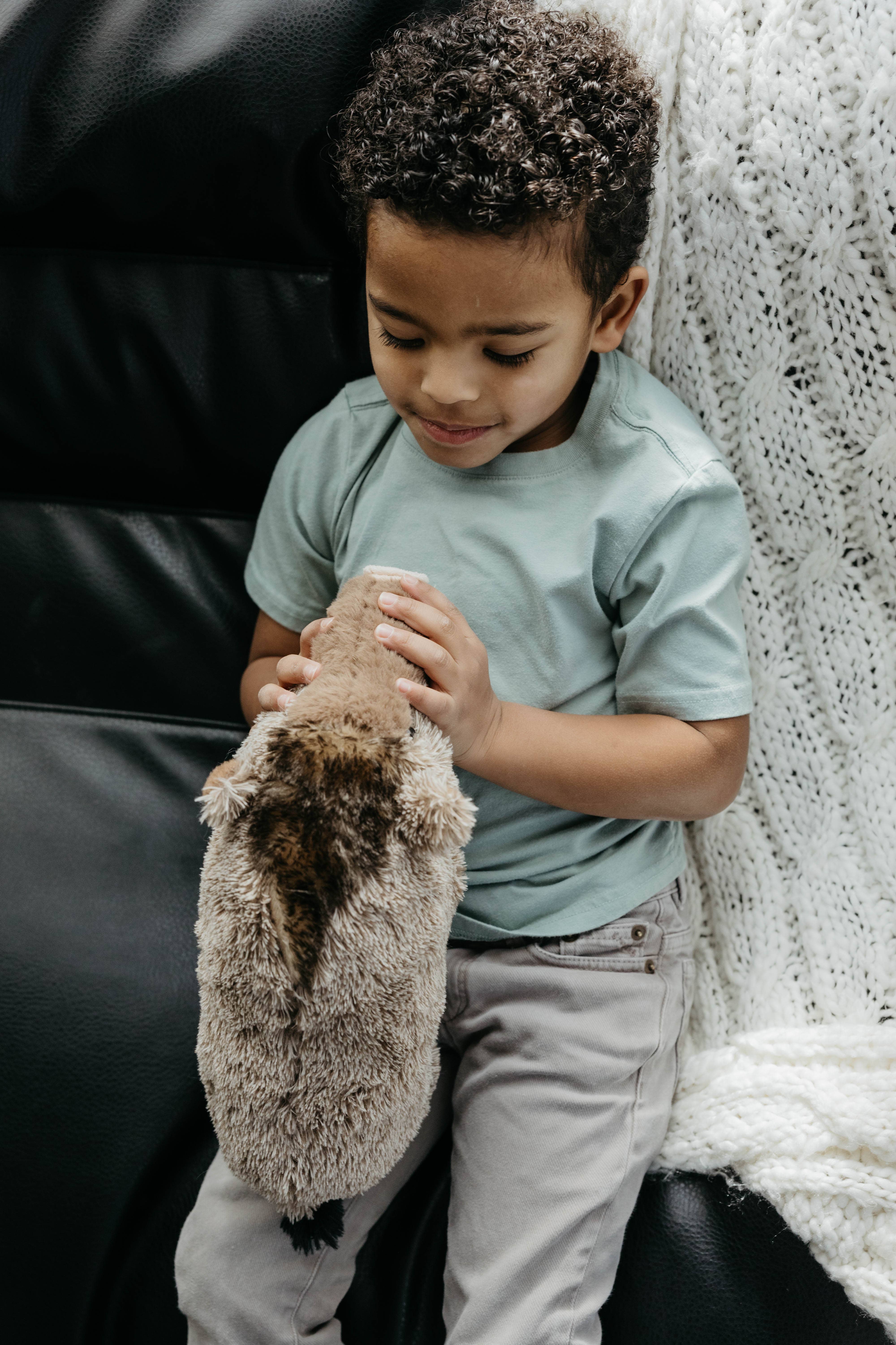 The Petting Zoo - Wholesale Stuffed/Plush Toy - Kids & Baby - 12" (33cm) Wild Onez Javelina Wild life2