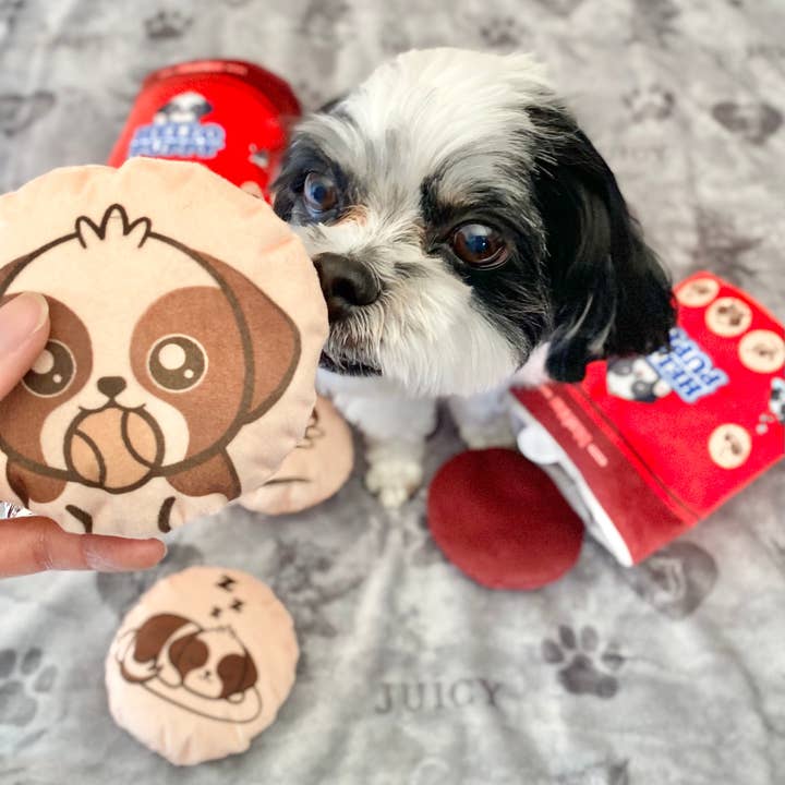 Blushiez - Wholesale Pet Plush Toy - Dog - Hello Puppy 4 Piece Dog Toy