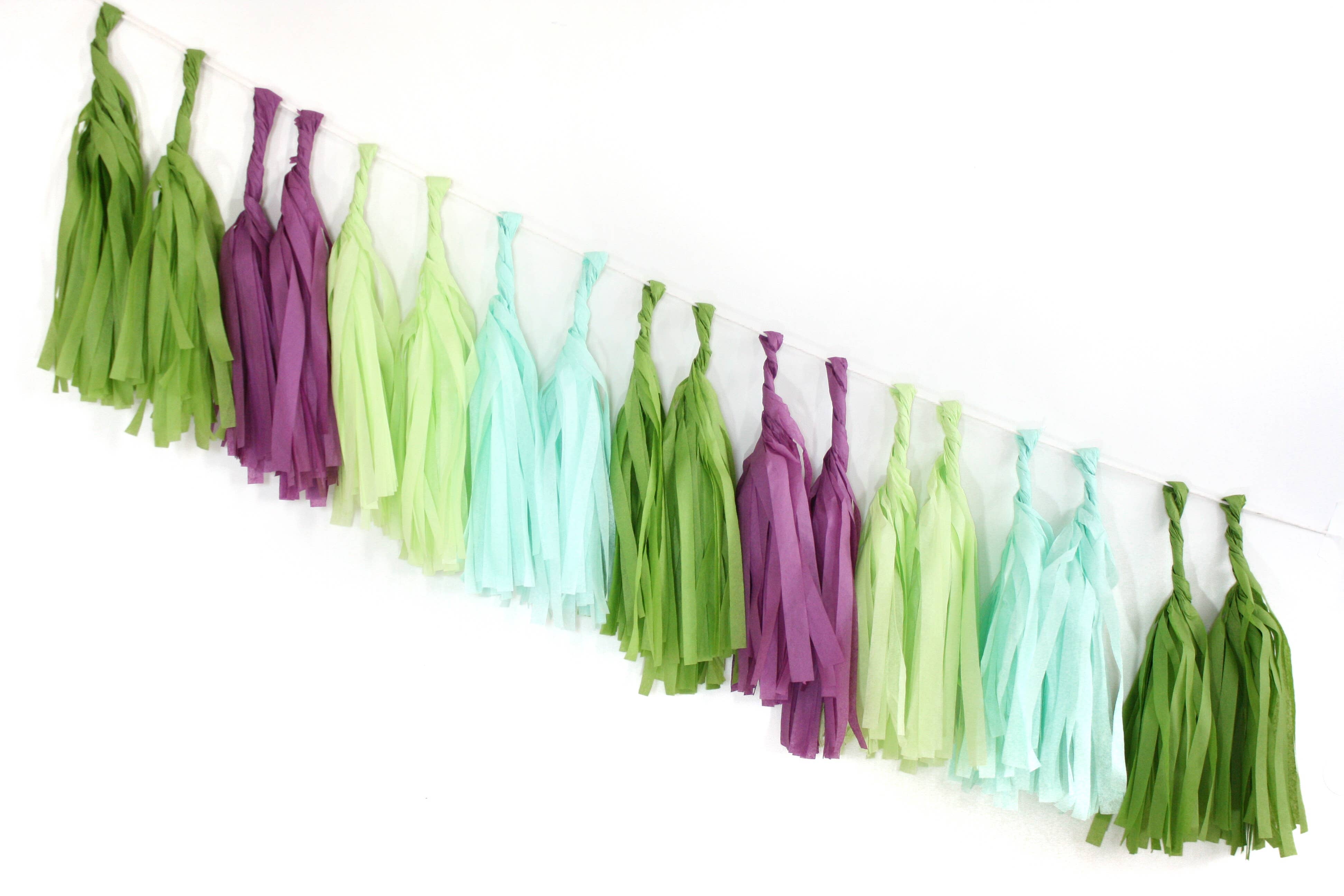 The Flair Exchange - Wholesale Bunting/Garland - Succulent Tissue Garland Kit3