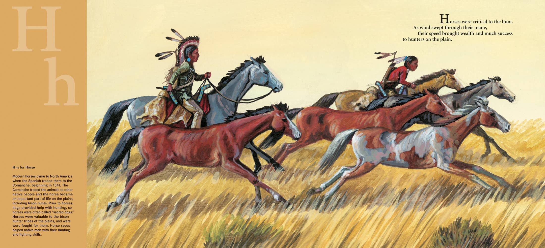 Sleeping Bear Press - Wholesale Book - Kids - D is for Drum: A Native American Alphabet Picture Book2