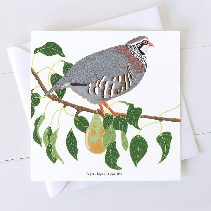A Partidge in a Pear Tree Christmas Card for wholesale by Bird the Artist