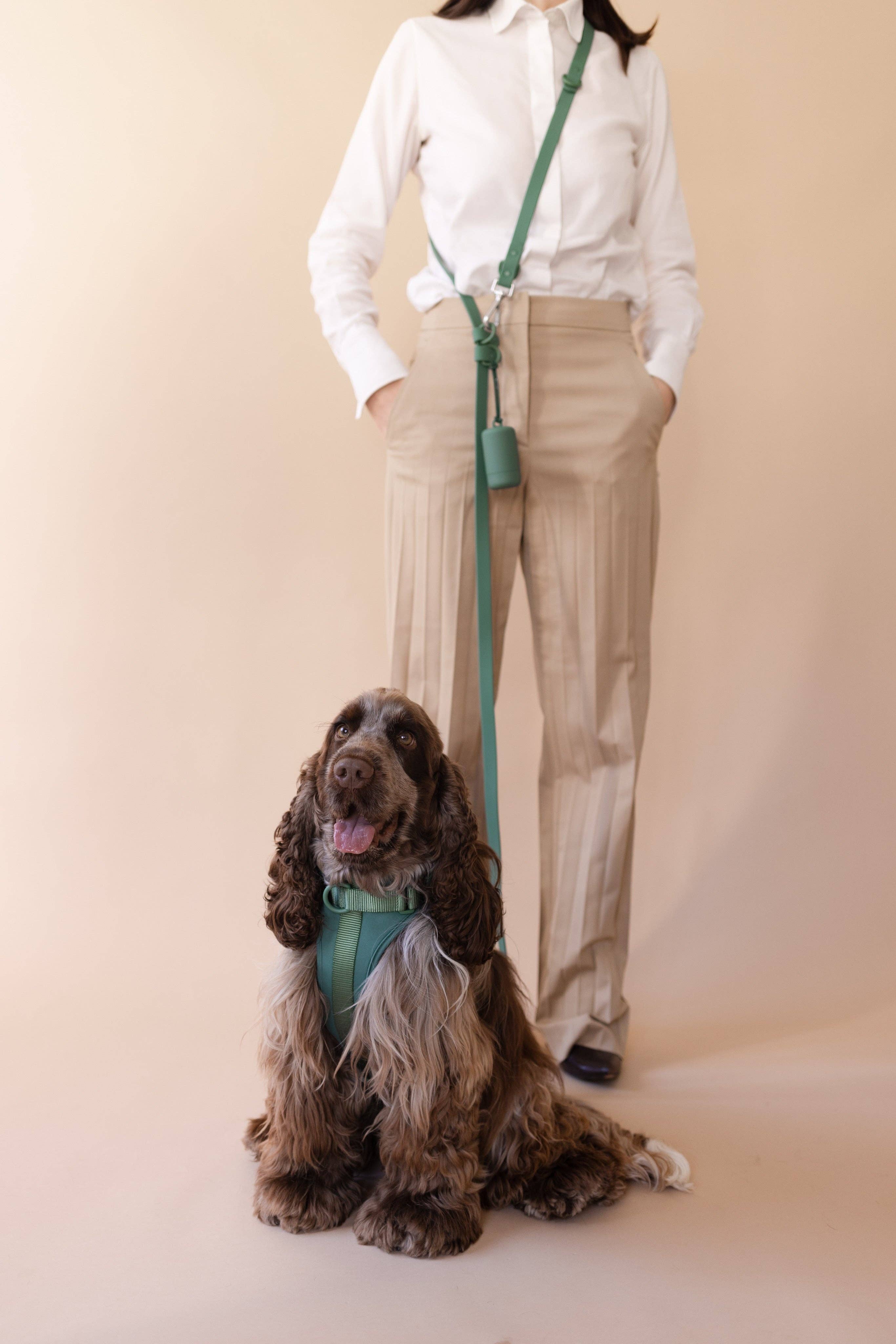 PRILTON - Wholesale Pet Leash - Dog - Hands free - Green1