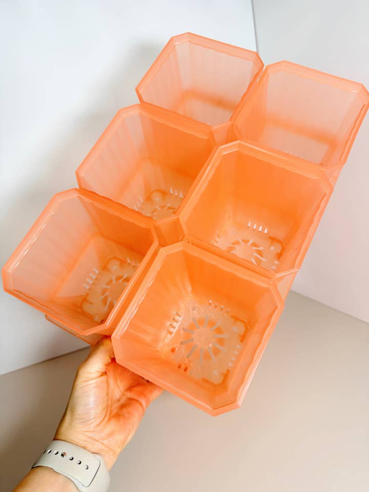 4” Tall Pink on Pink Pot Set for wholesale by Coco and Palm Trees