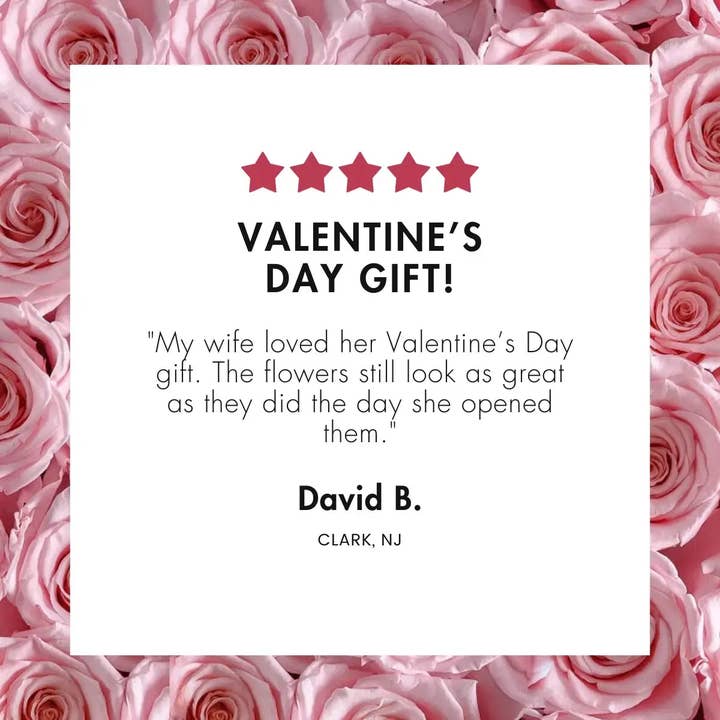 Rose Forever - Vente Fleur séchée/pressée - Boîte de 9 roses rouges en velours Rose Forever3