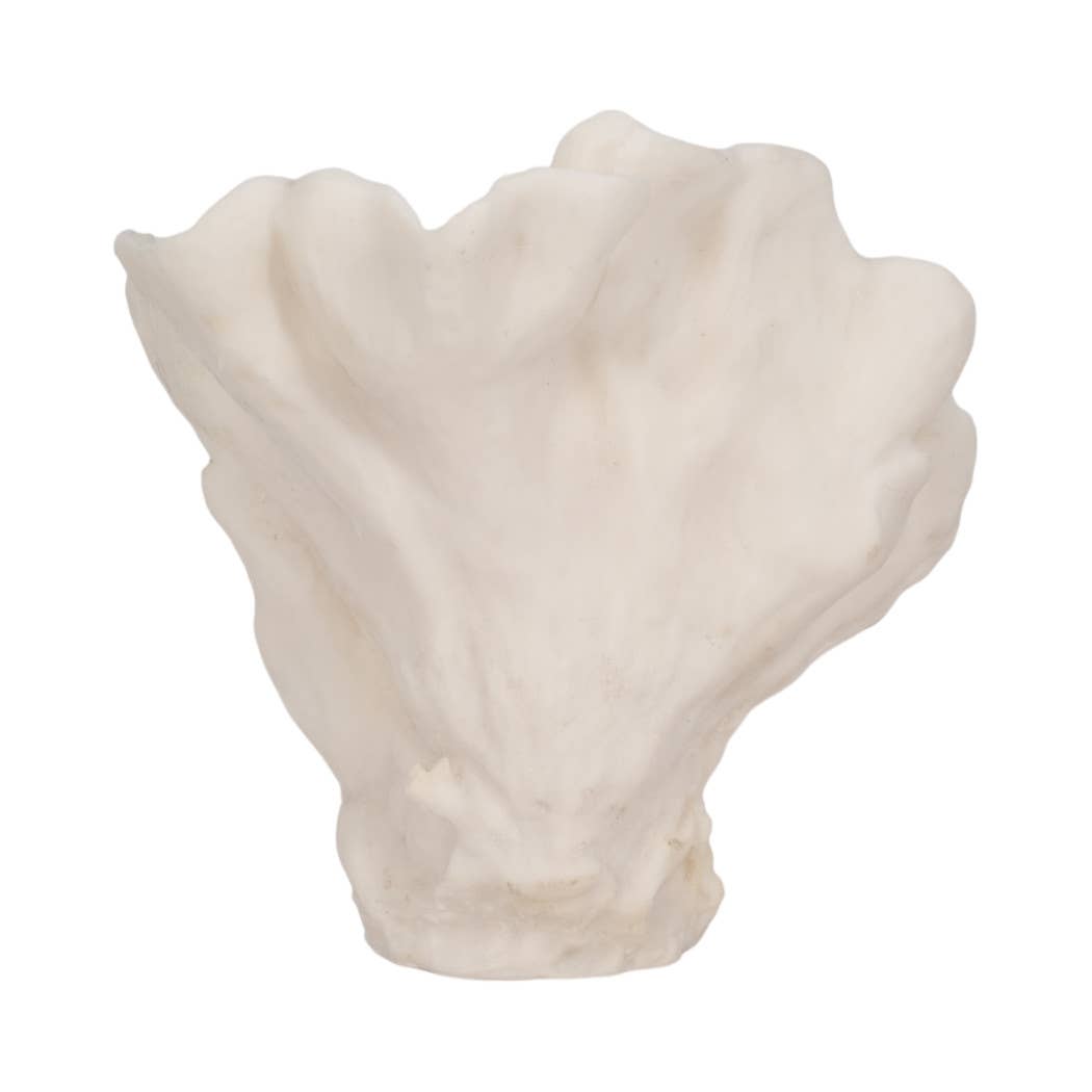 Sagebrook Home - Wholesale Decorative Figurine - Decorative Figurine - Ivory Resin Coastal Coral Fan, 12 in.6