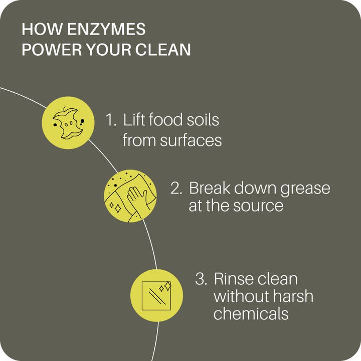 Everneat - Wholesale Dish Soap - Dish Soap (Glass Bottle)2