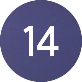 Cat Designer Verrier - Venta al por mayor Figura decorativa - Pez globo16