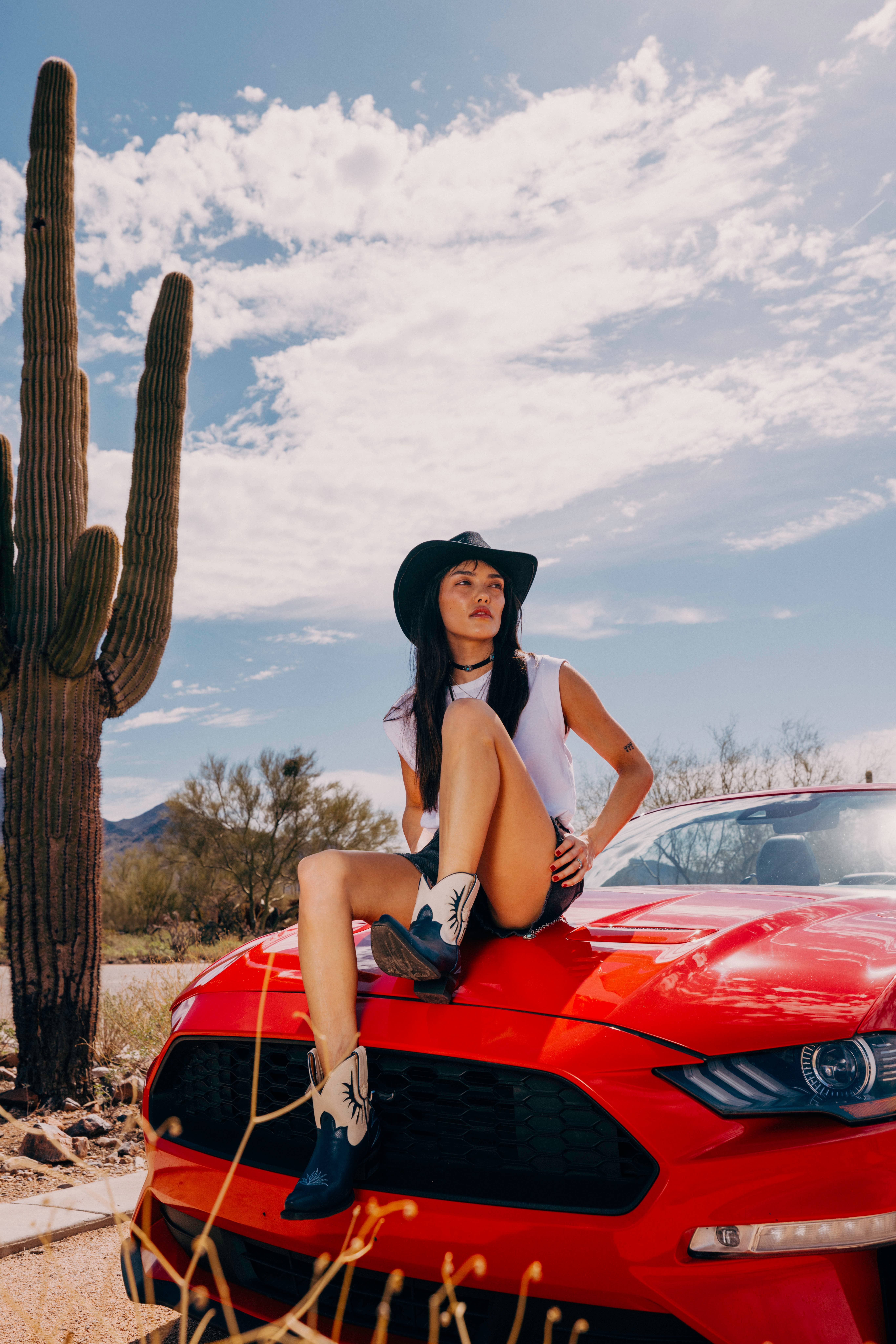 Desert Bloom Boots, LLC - Vente Bottes de cowboy – femme - Dentelle Saphir de Figuier de Barbarie3