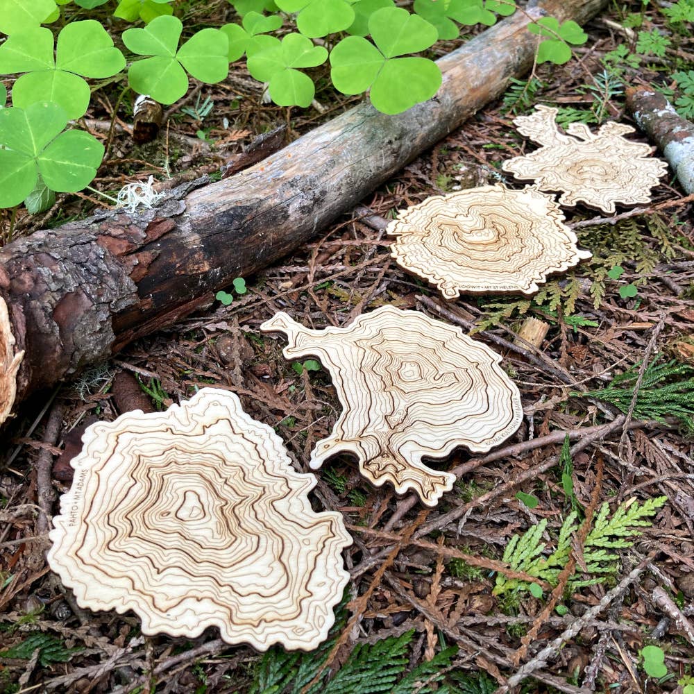 SML | Simple Modern Living - Wholesale Coasters - Washington Volcanoes Topography Coasters - Set of 49