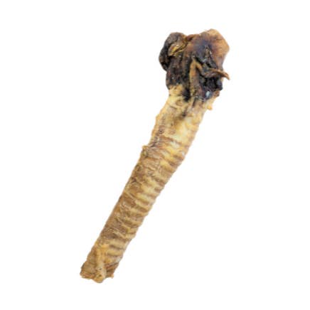 Croci – wholesale Godis - Hund – Snacks för hundar - Trakea-buffel - Niki Natural Barf0