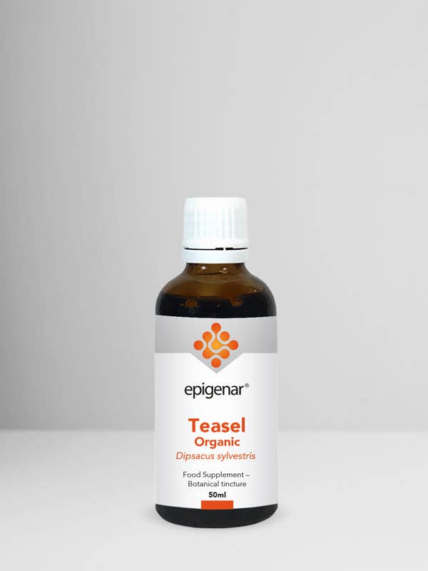 Epigenar Økologisk Tidsel 50 ml for engroshandel hos Rio Health Products
