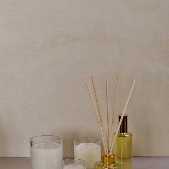 ELEVEN PEOPLE - Wholesale Reed Diffuser - Diffuser Bottles