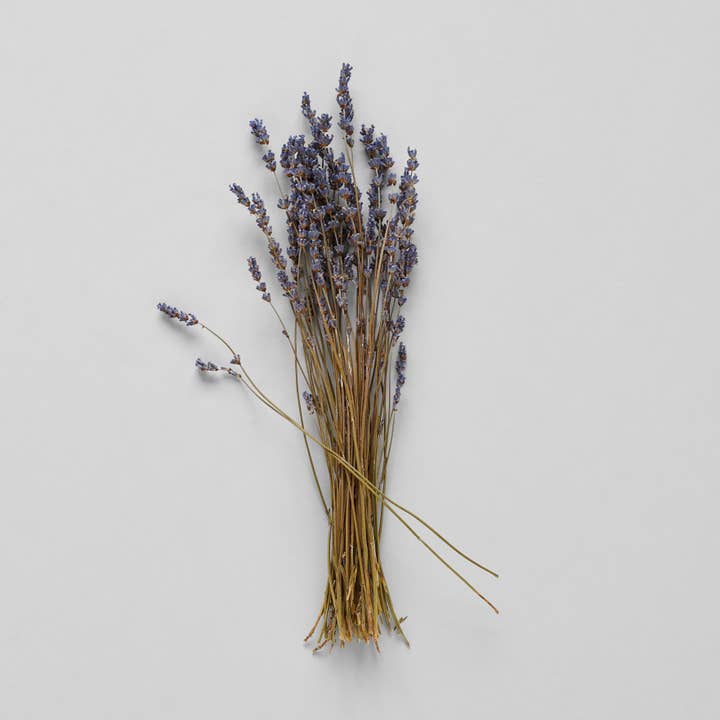 Bloomist - Wholesale Dried/Pressed Flowers - Dried Lavender