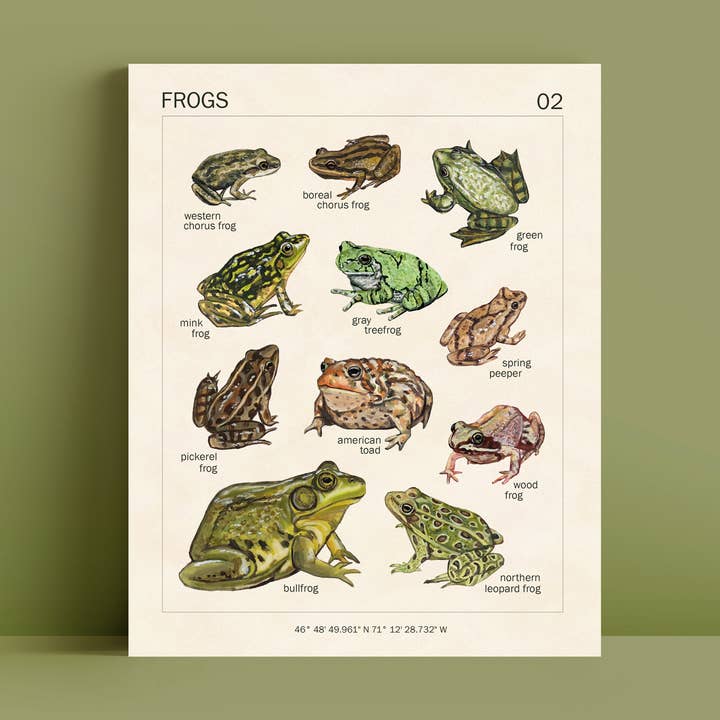 Frog Art Print | 8x10'' | Amphibians Botanical Wall Art for wholesale by Doro Marcello