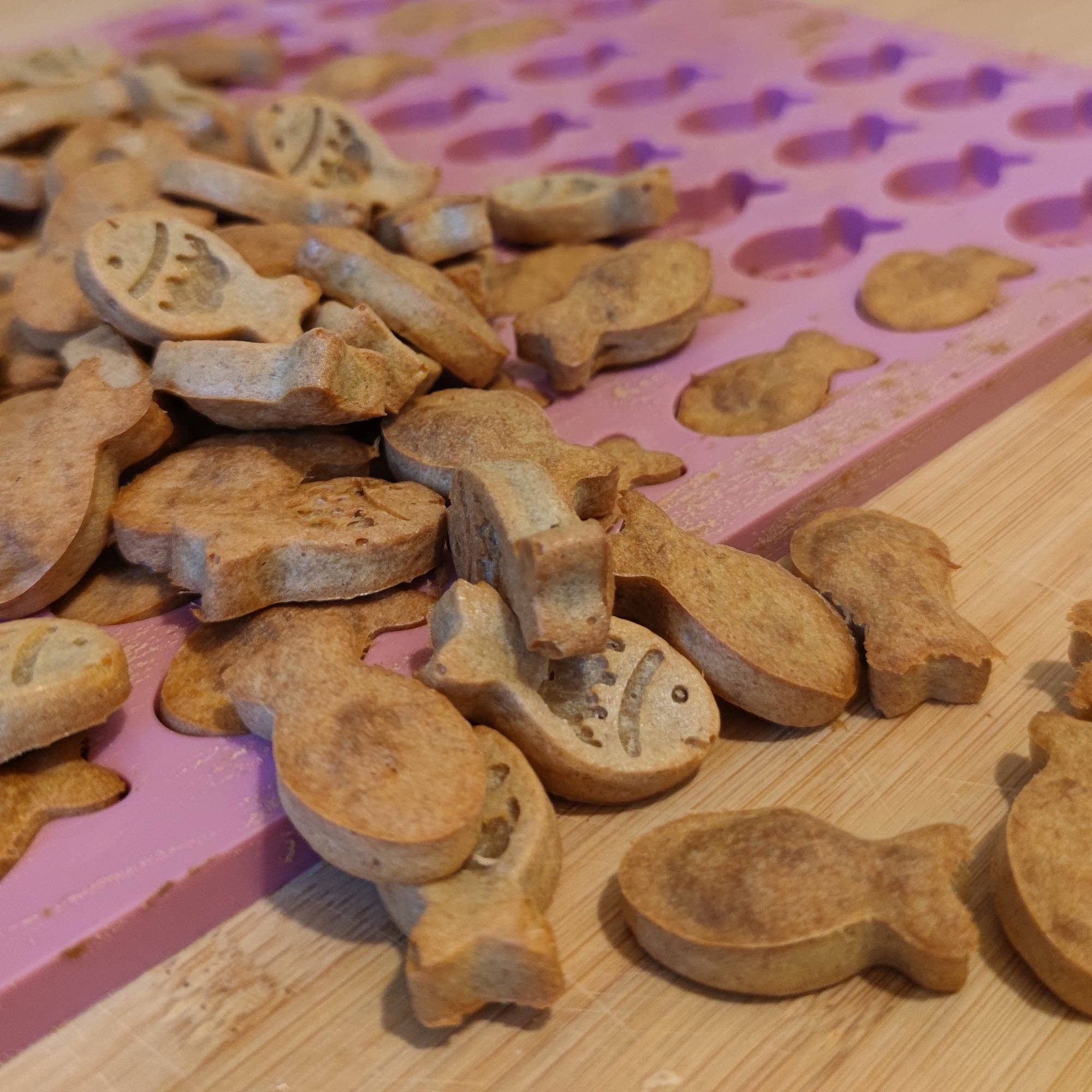 Collory - Wholesale Voedermat - Hond - Visvormige bakmatten voor hondenkoekjes (mini en medium)29