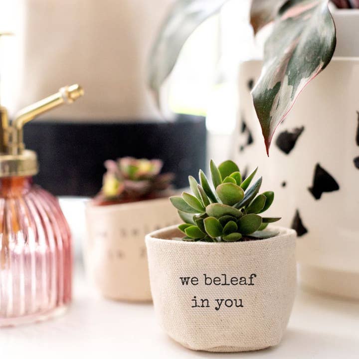 we beleaf in you 2" Canvas Plant Pot Cover for wholesale by Leaf and Root Co.