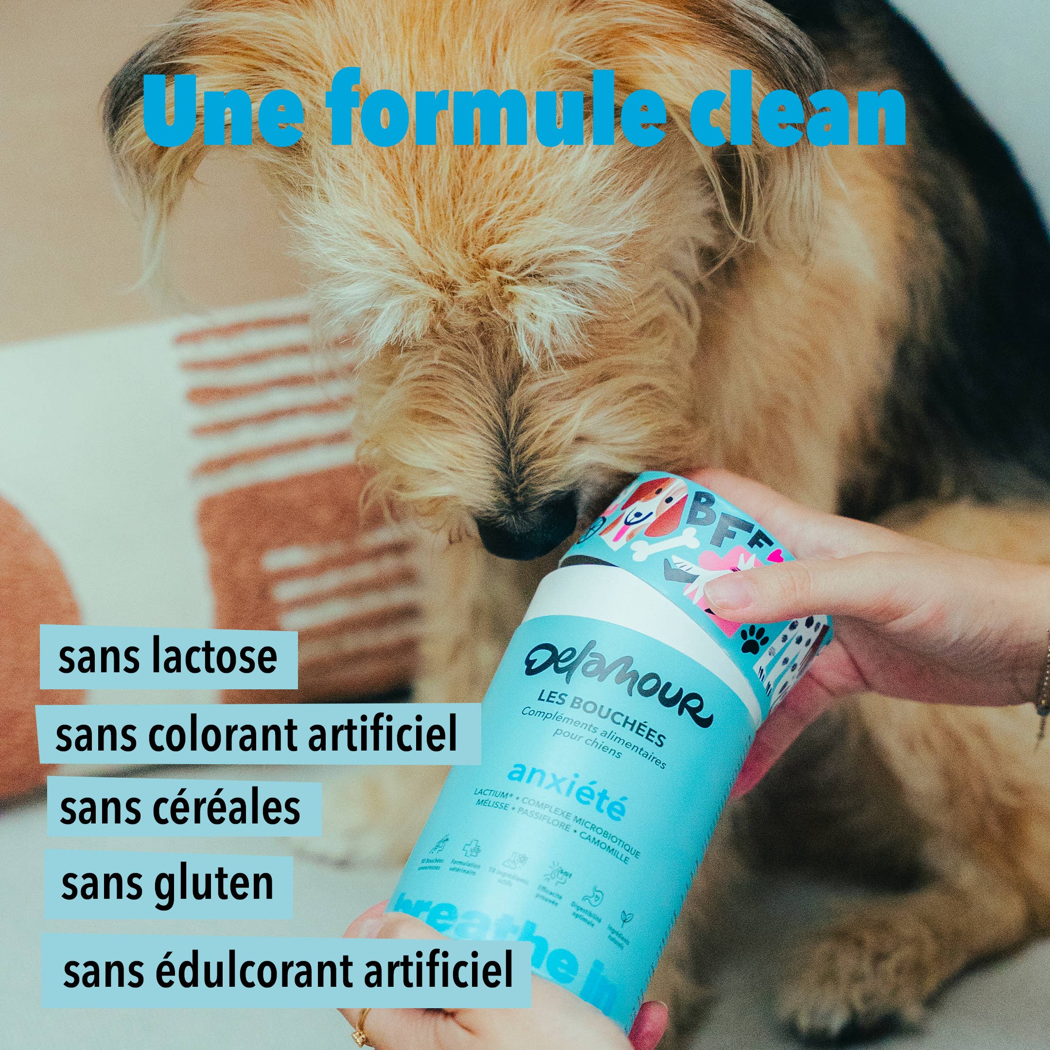 Delamour - Wholesale Pet Supplement - Dog - Les Bouchées - 90 chews to fight Anxiety (270g)7