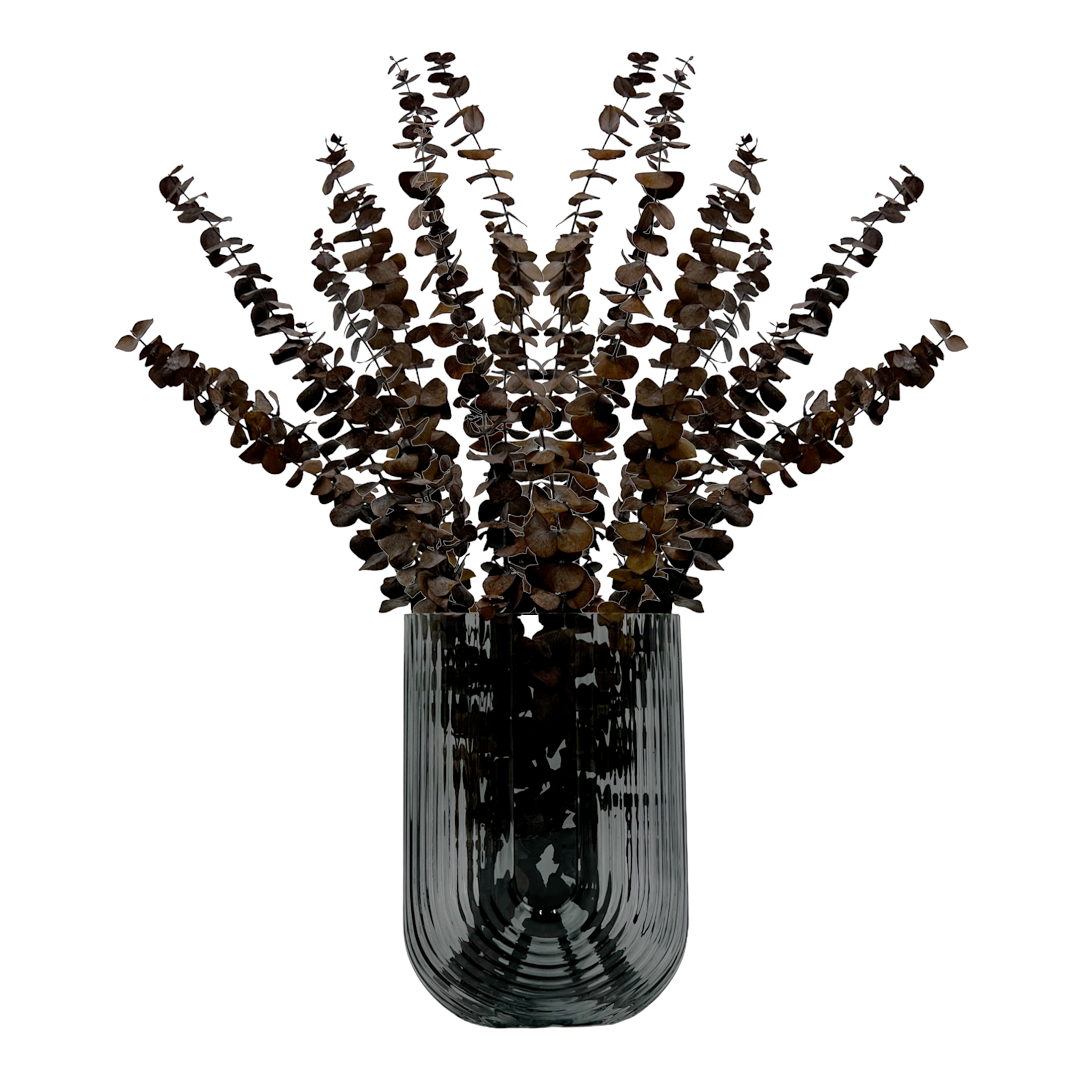 2626 Designs - Vente Fleur séchée/pressée - Feuilles d'eucalyptus petites préservées de 43 à 53 cm de long10