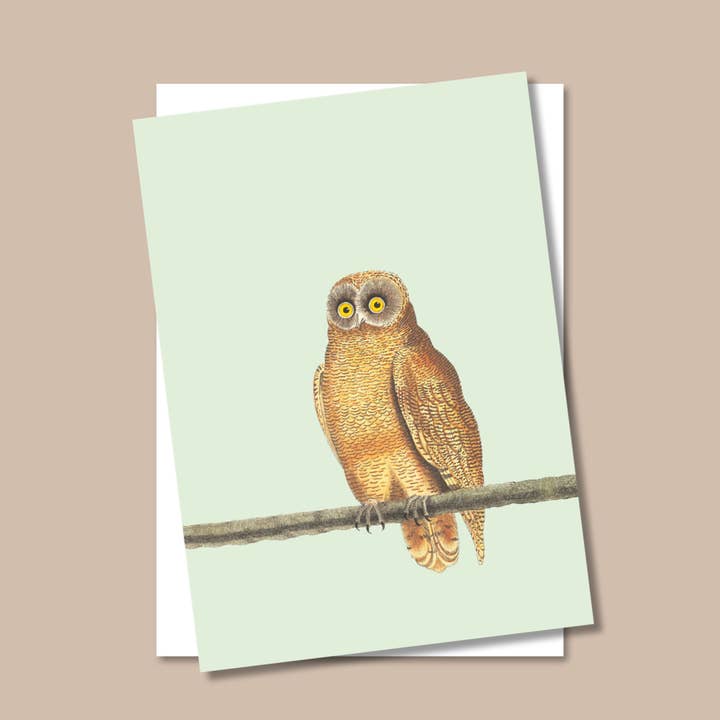 Mellow Owl A3 Print for wholesale by 30x40