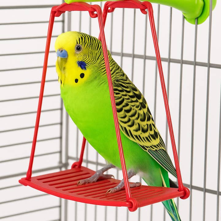 Caitec Inc - Wholesale Bird Swing/Toy - Swing & Perch Bird Toy Featherland Paradise2