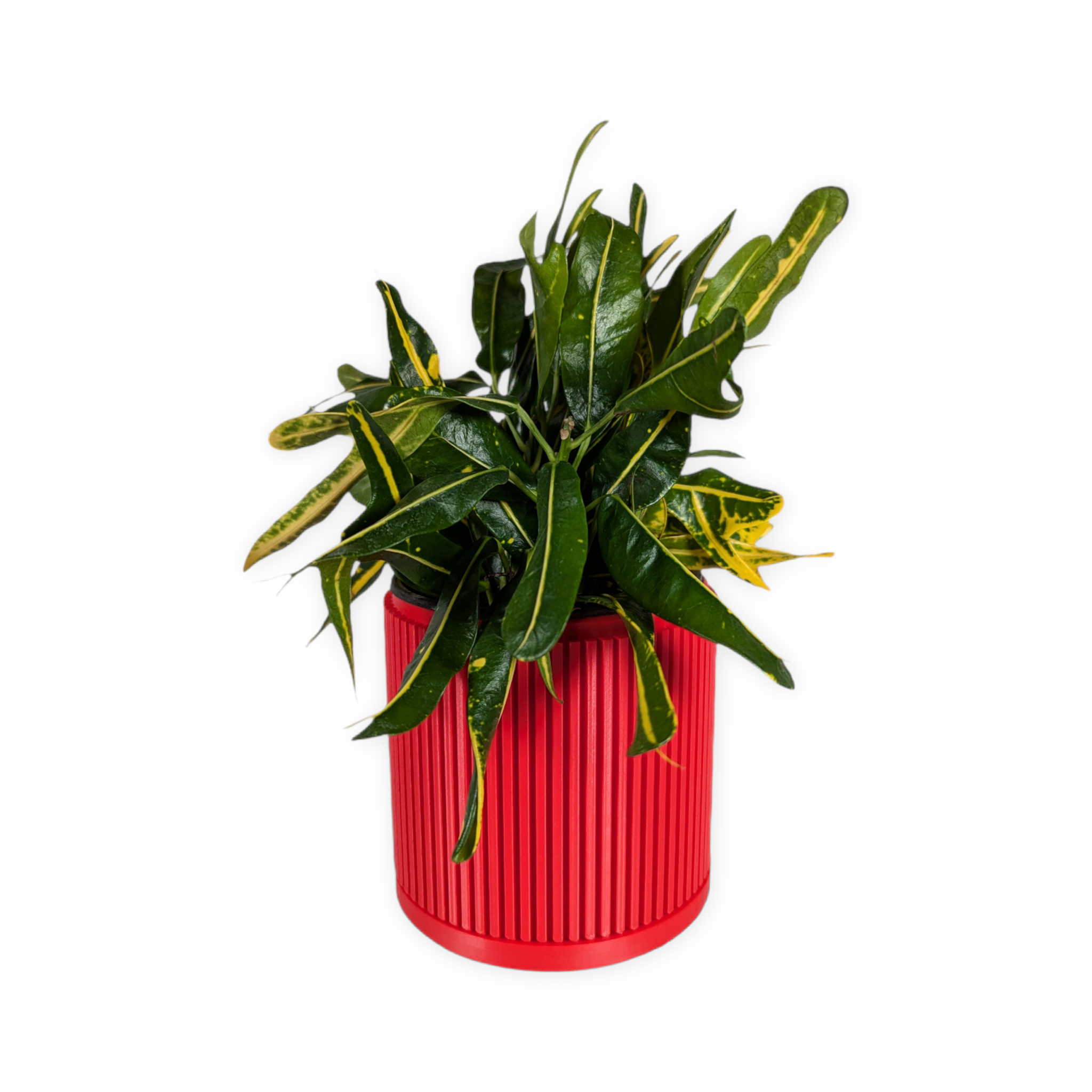 Leafprints.3d - Wholesale Plant Pot - The Willow – 4 Inch Planter with Drip Tray1