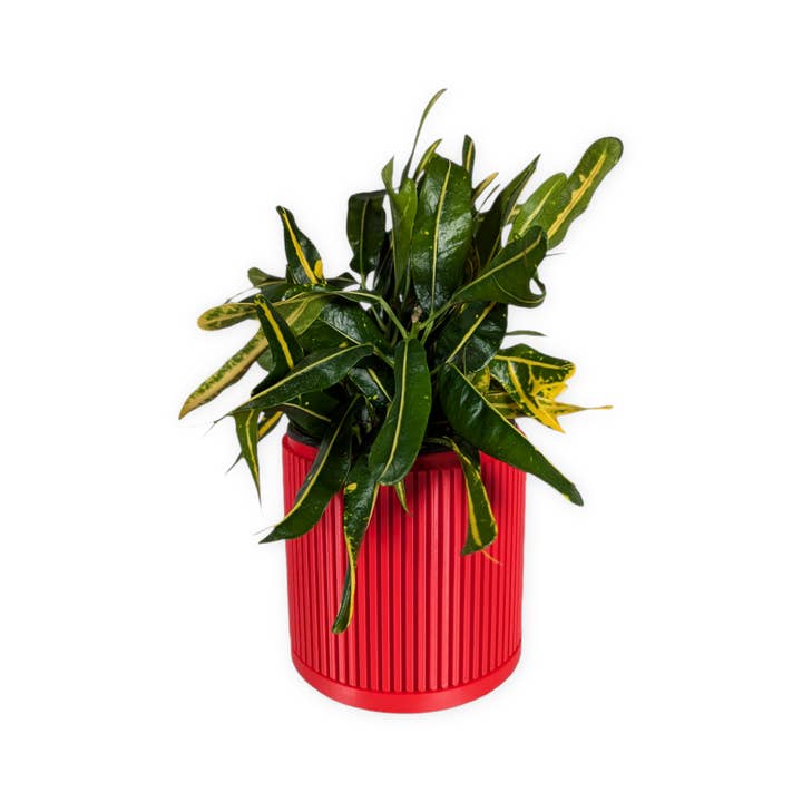 Leafprints.3d - Wholesale Plant Pot - The Willow – 4 Inch Planter with Drip Tray1