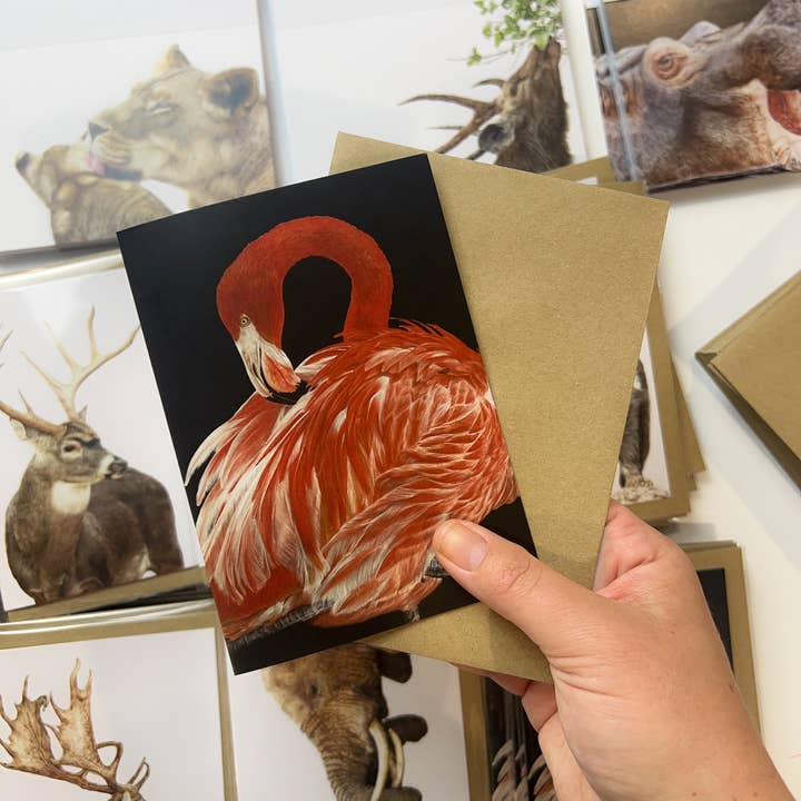 "Pirouette" Flamingo Greeting Card for wholesale by Jenna Chartrand Coloured Pencil Fine Artist