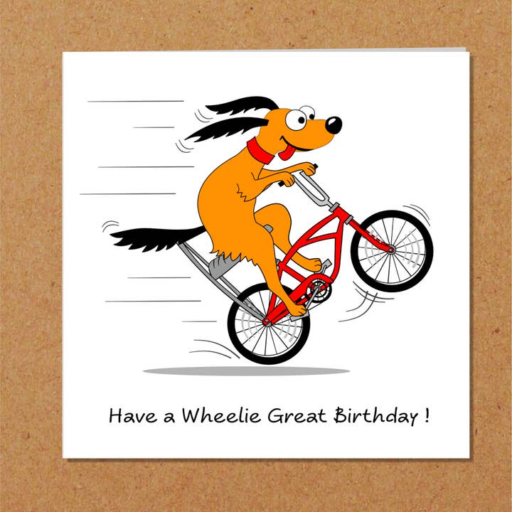 Swizzoo Cards - Wholesale Birthday Card - Fun Birthday Card for Special Friend Son Teenager Teen Grandson Nephew - Funny Cycling Humorous Bike Wheelie Bicycle 10 11 12 13 14 15 16 173