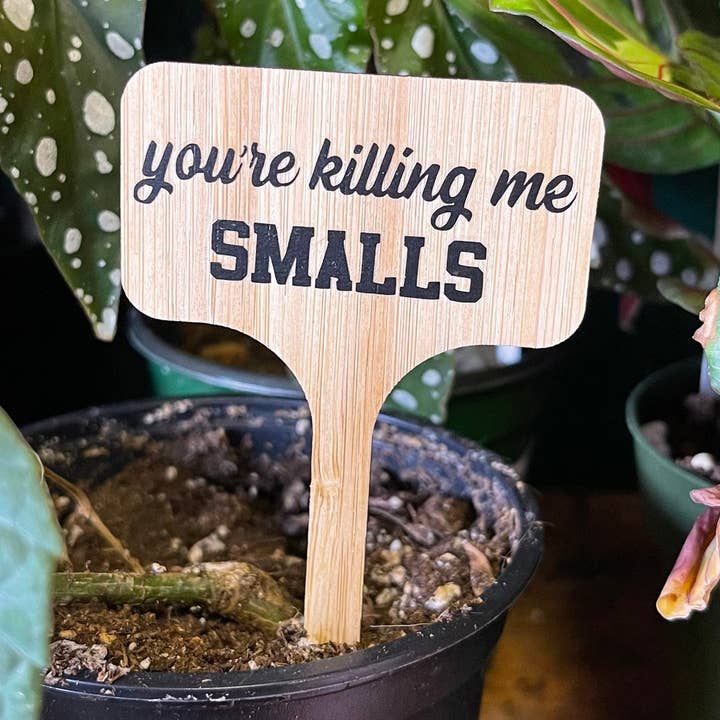 Du dræber mig, Smalls! for engroshandel hos Crafts At Stake