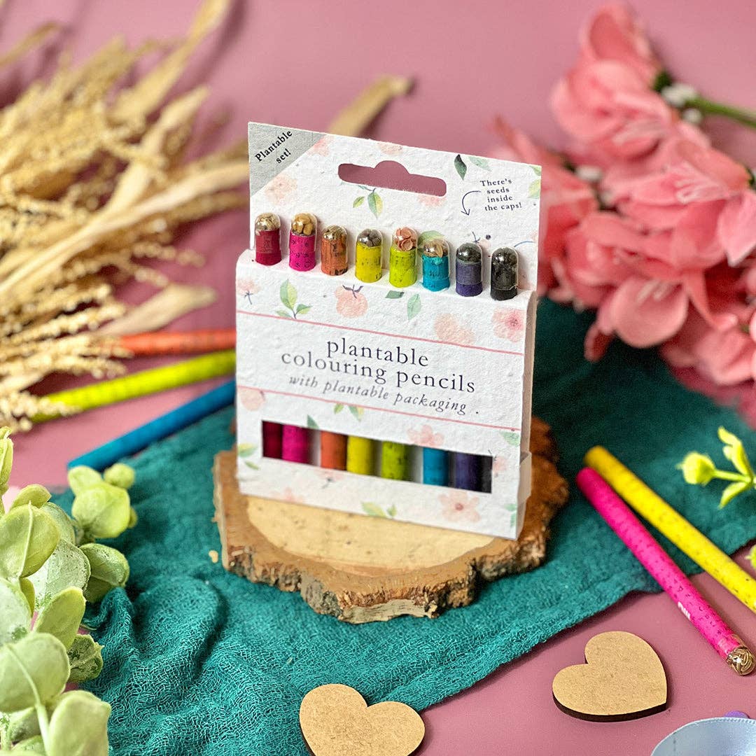 Little Green Gifts – wholesale Coloured pencil – Colouring Pencils - Choice Of Designs (TU-6)2