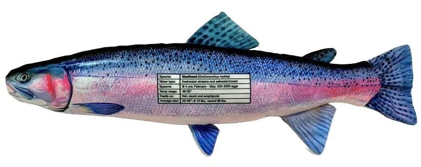 FishTargets - Wholesale Sporting Accessories - Steelhead Sporting Accessories for Fishing Practice1