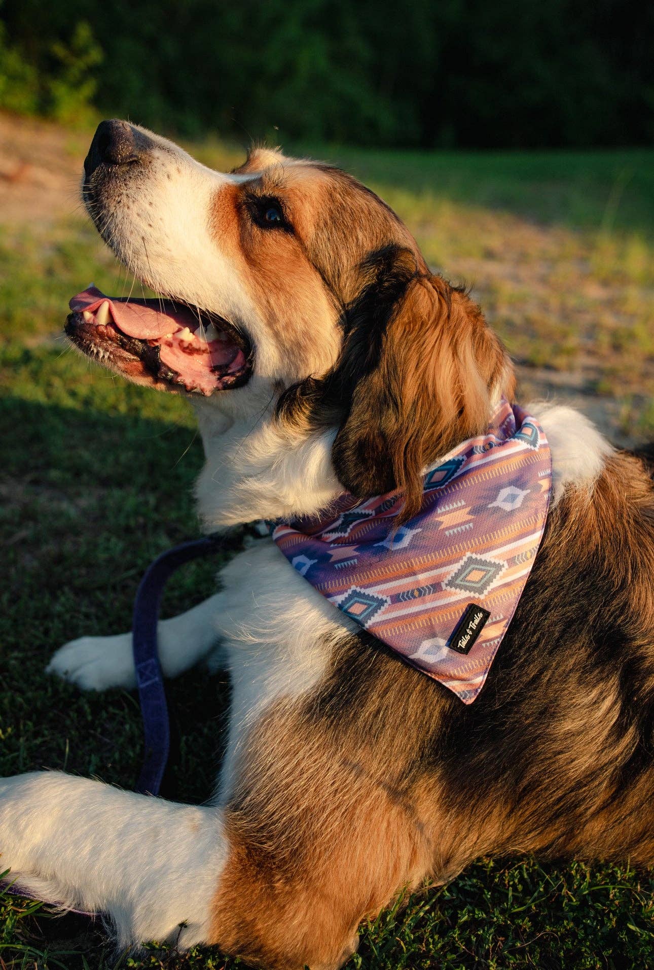 Tails and Trails – Bandana - Cão por atacado – Bandana Ocidental1