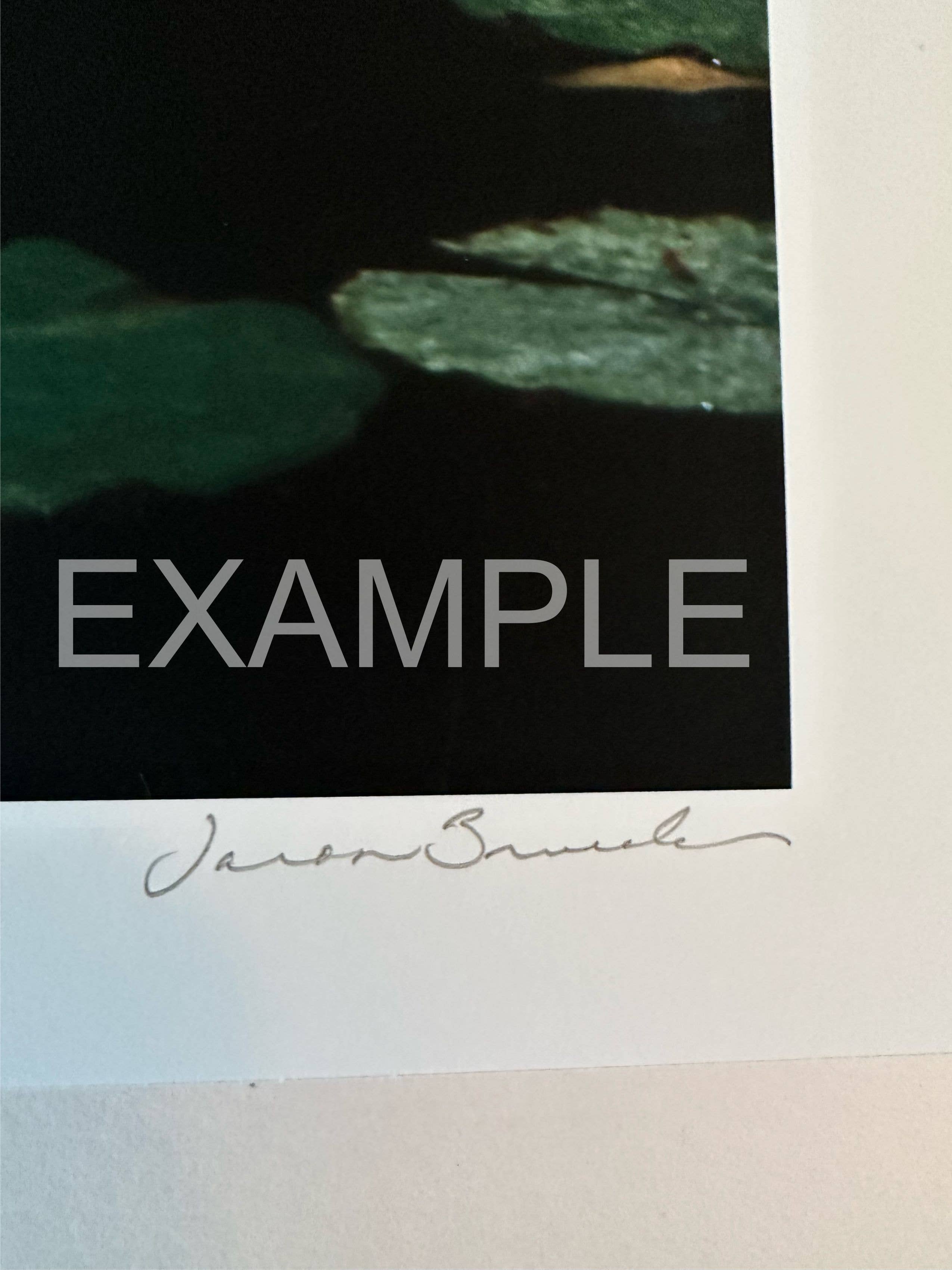 Alter Images Art - Wholesale Art Print - Receipt Series: A Clockwork Orange 18x242