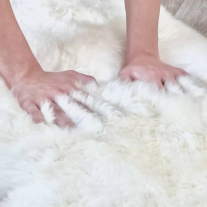 Rodeo - Wholesale Area Rug - Genuine Sheep Skin Rug 16